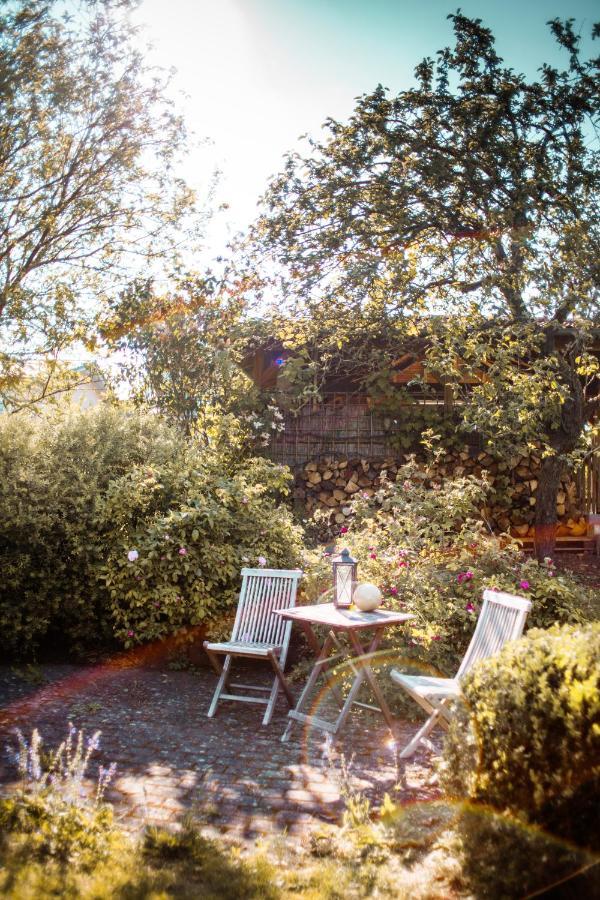 Bed & Breakfast Unter Den Linden Hungen Extérieur photo